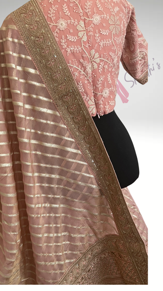 Pastel Organza saree with embroidered blouse stitched  blouse- party wear Organza