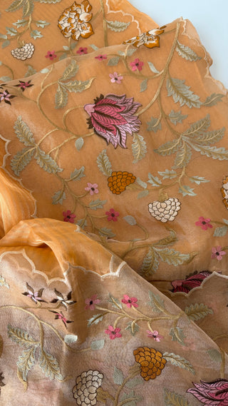 Pure Pastel Peach Beneras Tissue organza saree stitched blouse saree readymade online USA