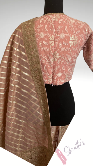 Pastel Organza saree with embroidered blouse stitched  blouse- party wear Organza