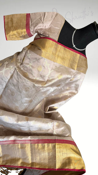 Tissue Gold Chanderi pastel tissue silk saree with pen hand embroidered silk blouse