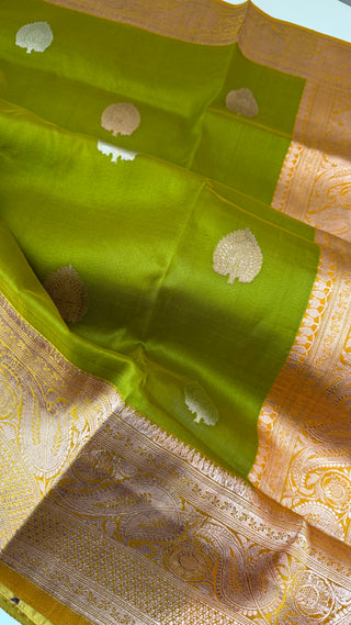 Pure organza beneras silk saree parrot green gold borders with stitched blouse