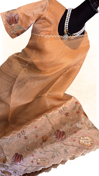 Premium handwoven Banaras tissue saree with gold zari and blouse